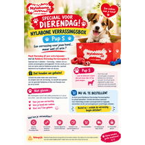 Verrassingsbox pup Small