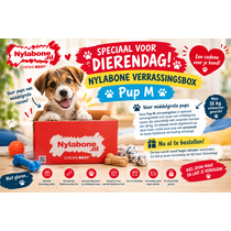 Verrassingsbox Pup Medium