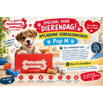 Verrassingsbox Pup Medium