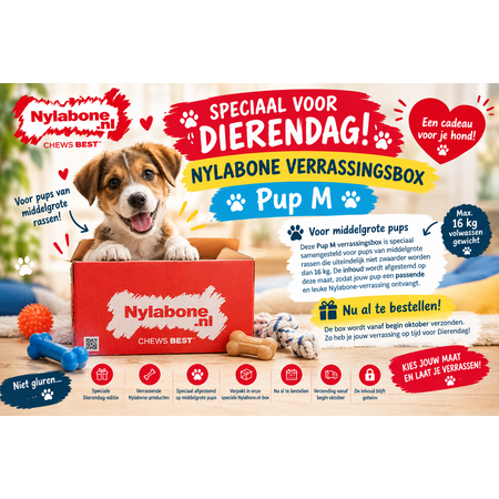 Nylabone Dierendag Verrassingsbox Pup Medium