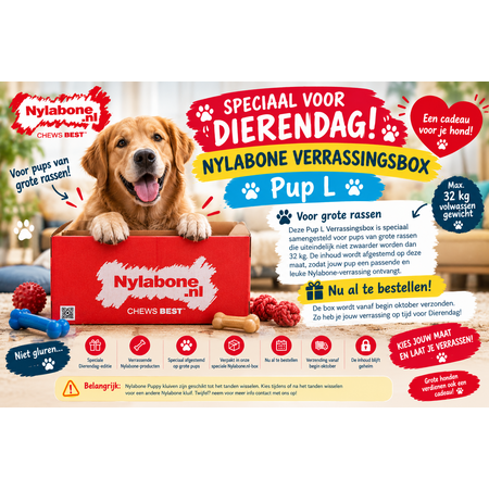 Nylabone Dierendag Verrassingsbox Pup Large