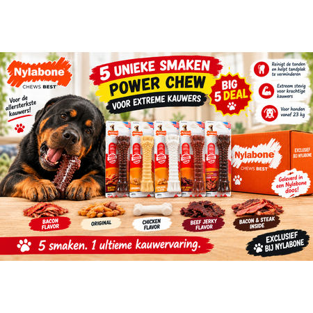 Nylabone Power Chew Pack XL – 5-Smaak Superdeal