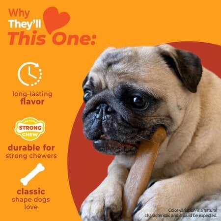 Nylabone Strong Chew Original Bone hondenkauwspeeltje Small