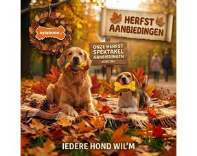 Herfst Aanbiedingen 
