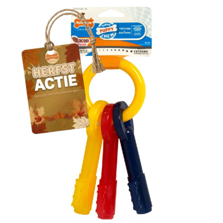 Nylabone Puppy Teething Keys XS – Zacht Kauwspeelgoed voor Puppy’s die nog niet hebben gewisseld