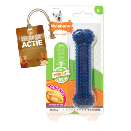 Nylabone Flexi Chew Gumabone – Getextureerd Dental Kauwbot voor Honden S