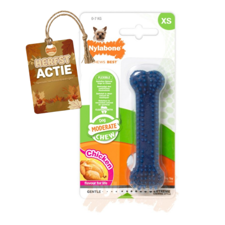 Nylabone Flexi Chew Gumabone – Getextureerd Dental Kauwbot voor Honden XS