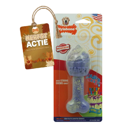 Nylabone Flavor Frenzy Dura Chew Birthday Cake – giant