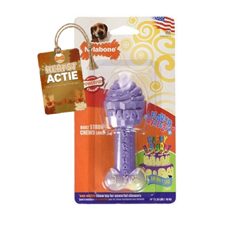Nylabone Flavor Frenzy Dura Chew Birthday Cake – Wolf (medium)