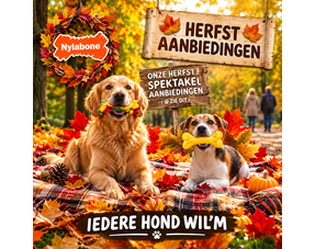 Herfst Aanbiedingen 