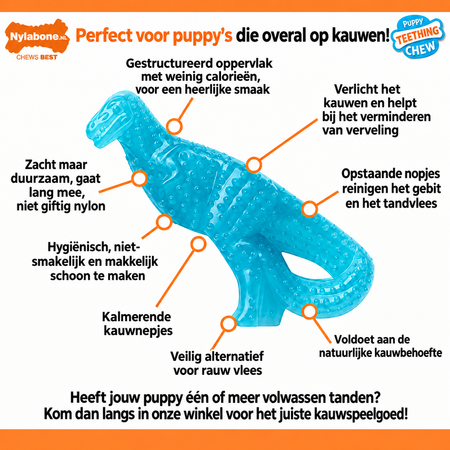 Nylabone Puppy Chew Dental Dino Small – Kauwplezier voor puppy's