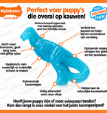 Nylabone Puppy Chew Dental Dino Small – Kauwplezier voor puppy's