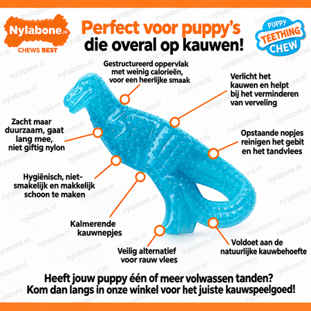 Nylabone Puppy Chew Dental Dino Small – Kauwplezier voor puppy's