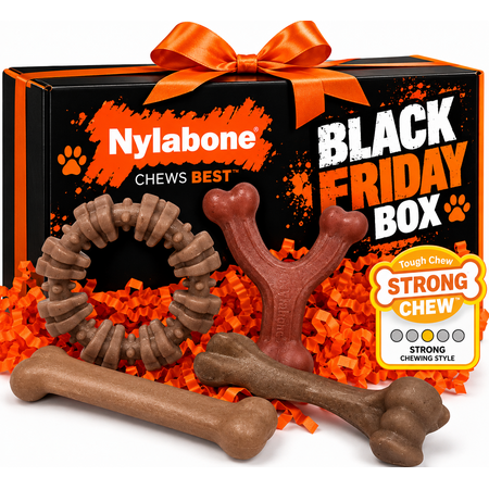 Nylabone Black Friday Strong Chew Real Taste Superbox