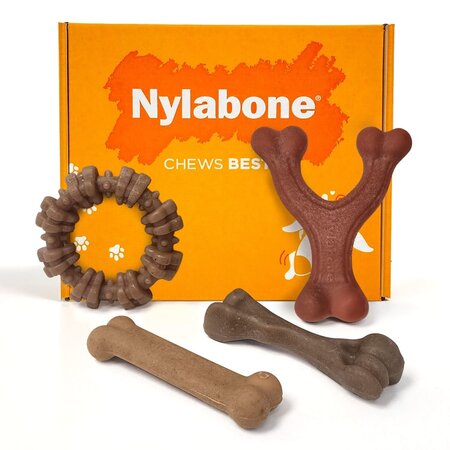 Nylabone Black Friday Strong Chew Real Taste Superbox