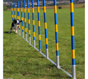 De-Tail Agility  professionele FCI slalom set 12 delig