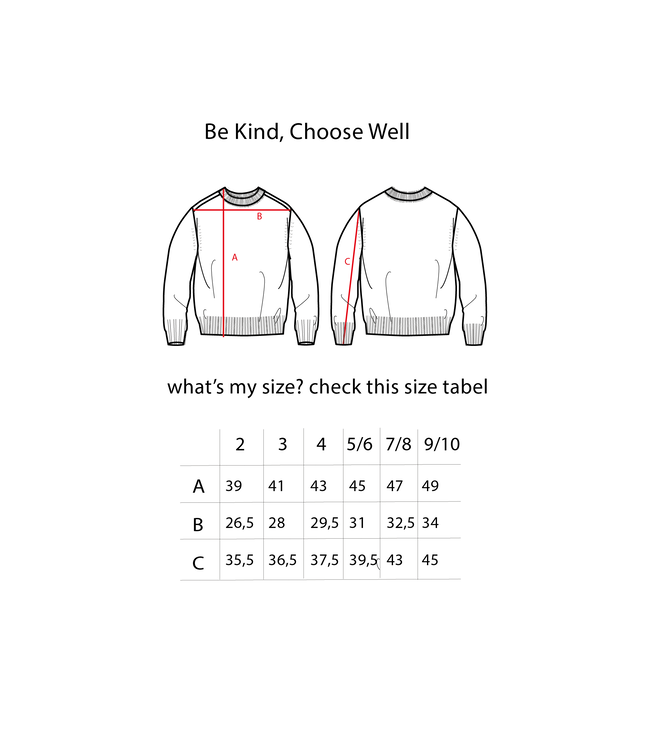 Be Kind Skylar Sweater // KIDS // Biologisch Katoen // Strepen Latte Red