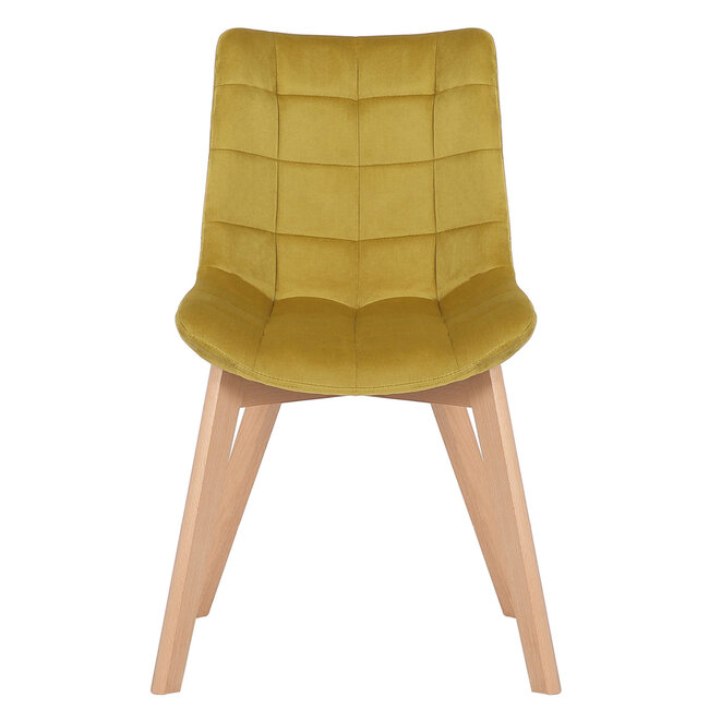 Esszimmerstuhl Passaic Samt