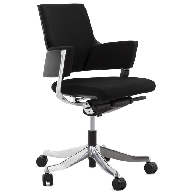 Bürostuhl Ergonomisch RAY