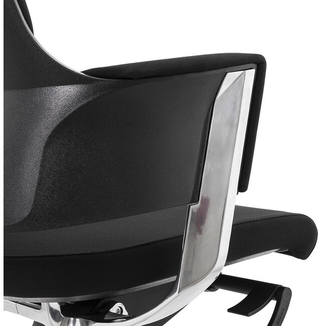 Bürostuhl Ergonomisch RAY