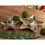 2er-Set Dekoschalen Starlight – Sternform aus Aluminium in Gold