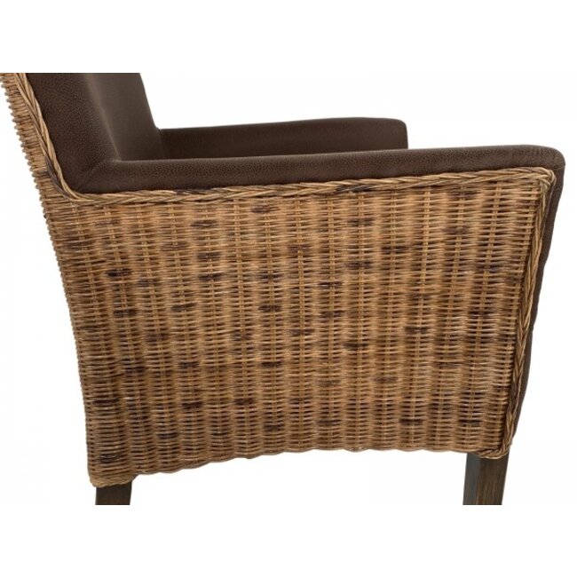 4 Stück Esszimmerstuhl Rattan Polster mit Armlehnen