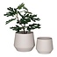 2er-Set Trofa Flowerpot - Blumentopf, Stahl, sand