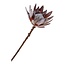 King Protea Bouquet - Kunstblumen, Rosenmix H:74 cm