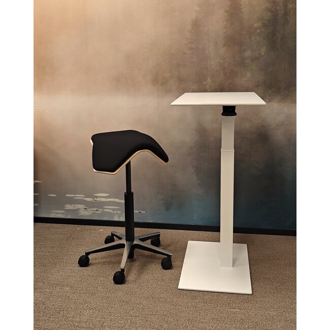 ILOA One | Hocker Rollhocker | Sattelhocker - Birke Natur