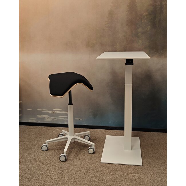 ILOA One | Hocker Rollhocker | Sattelhocker - Birke Natur