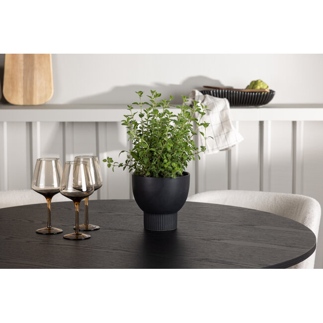 5-tlg. Esszimmer-Set Olivia mit Stühlen Edina