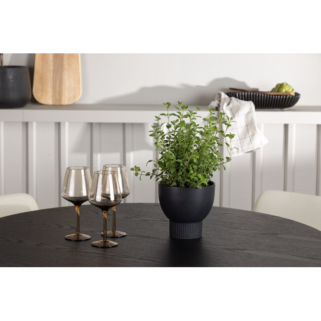 5-tlg. Esszimmer-Set Olivia mit Stühlen Tvist