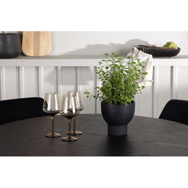 5-tlg. Esszimmer-Set Olivia mit Stühlen Night