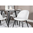 5-tlg. Esszimmer-Set Plaza mit Stühlen Velvet