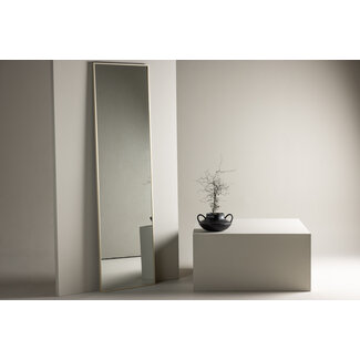 Venture Home Großer Spiegel Orlando 195 x 55 Beige Aluminium