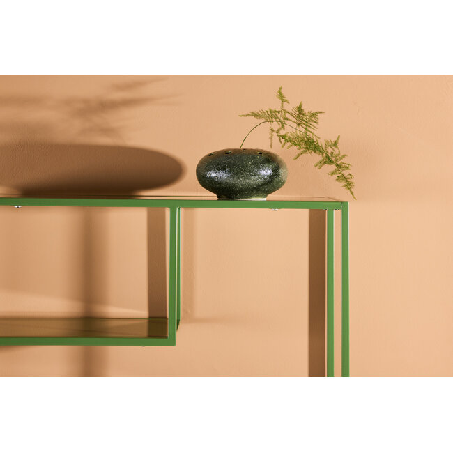 Regal Staal Grün 164x80 cm