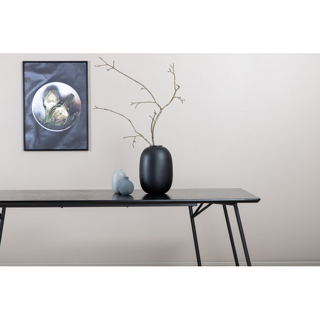 7-tlg. Esszimmer-Set Petra mit Stühlen Polly