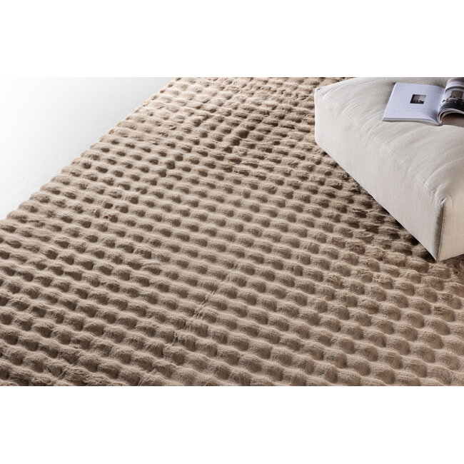Teppich Novis Weiß, Beige 200 × 290 cm
