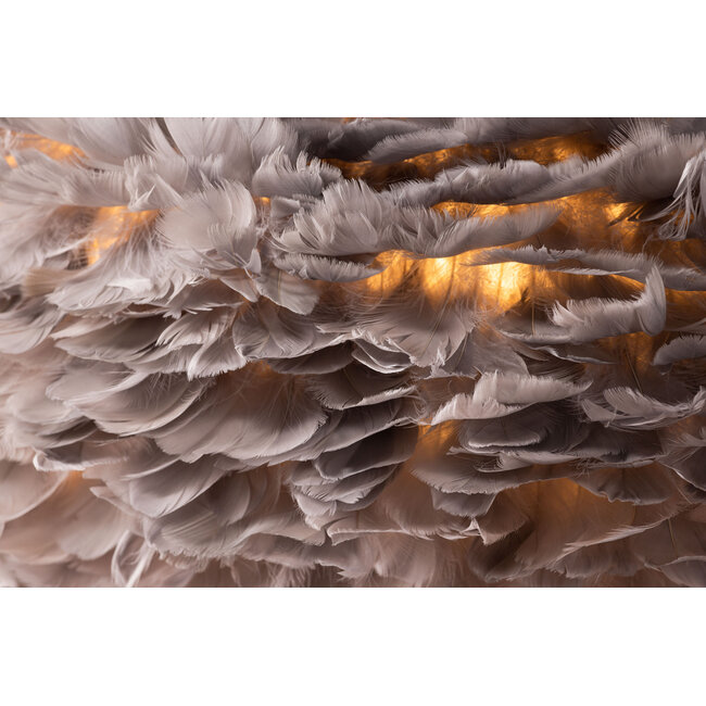 Design-Deckenleuchte Nicola – Graue Federpracht