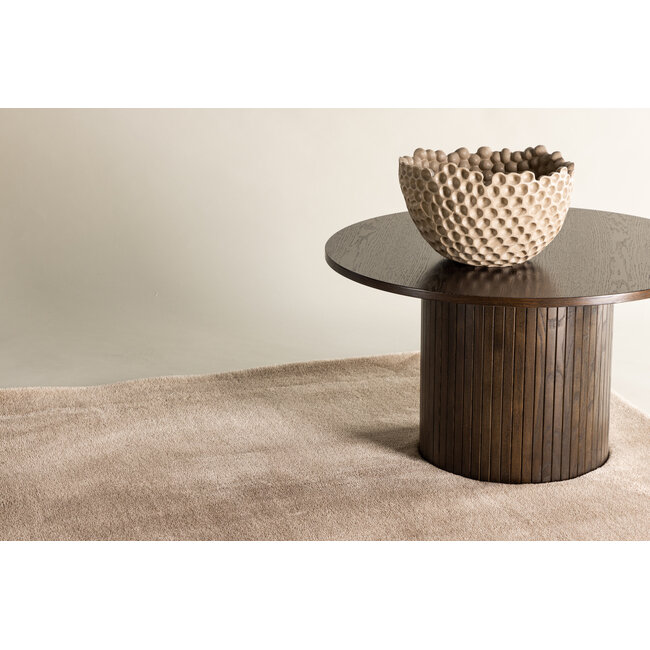 Teppich Blanca – Exklusives Design & Samtiger Komfort (Braun/Beige)