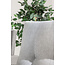 Lounge-Set Brentwood Grau – Outdoor-Lounge 186×73×89 cm Polyrattan und Kunstfaser
