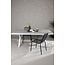 Gartentisch Garcia Grau – Esstisch 200×100×74 cm Aluminium & Aintwood