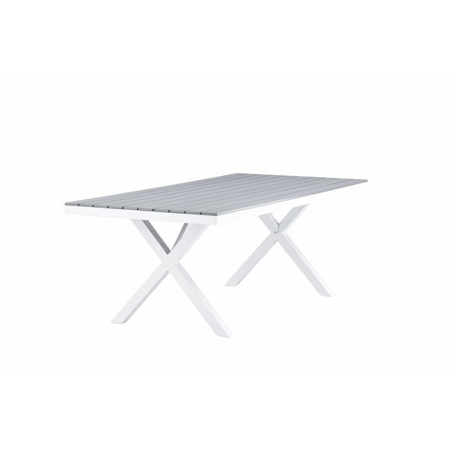 Gartentisch Garcia Grau – Esstisch 200×100×74 cm Aluminium & Aintwood