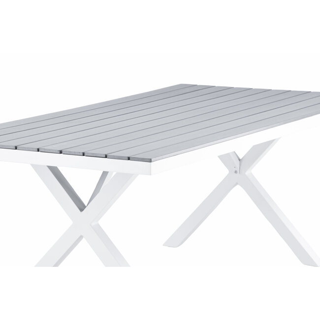 Gartentisch Garcia Grau – Esstisch 200×100×74 cm Aluminium & Aintwood