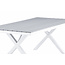 Gartentisch Garcia Grau – Esstisch 200×100×74 cm Aluminium & Aintwood