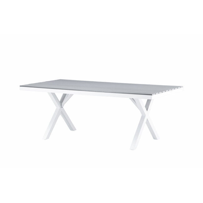 Gartentisch Garcia Grau – Esstisch 200×100×74 cm Aluminium & Aintwood