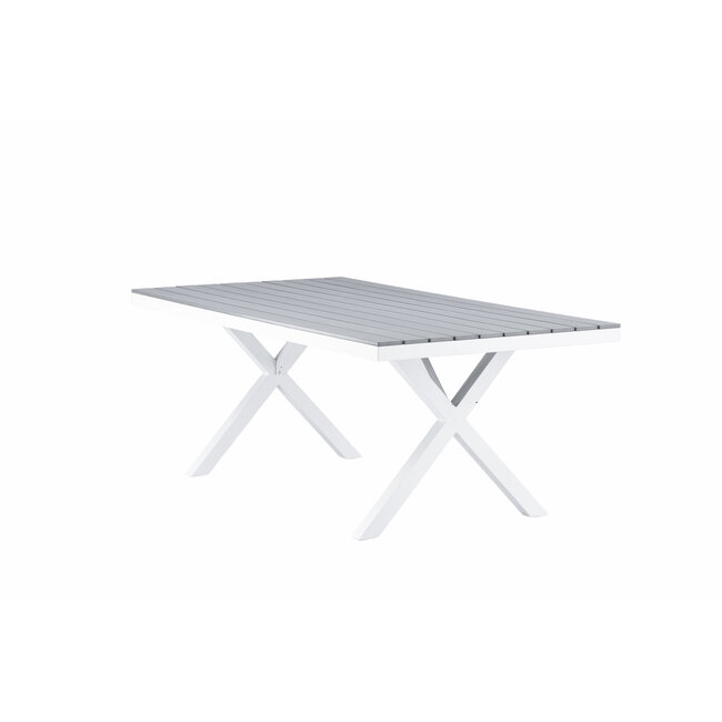 Gartentisch Garcia Grau – Esstisch 200×100×74 cm Aluminium & Aintwood