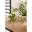 Gartentisch Holmbeck aus Akazienholz und Stahl, 200 cm × 90 cm × 75 cm, Natur – wetterfester Outdoor-Esstisch