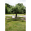 Lounge-Set Milano Schwarz – Moderne Outdoor-Lounge