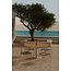 Garten-Essgruppe Alfons & Croft Beige – Teak-Rundtisch Ø120 cm mit 4 Rattan-Sesseln
